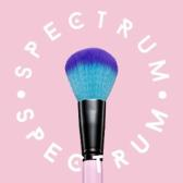 Spectrum Collections Logo