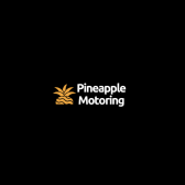 Pineapple Nation Logo Pineapple Nation Logo