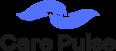 Caring Pulse Logo Caring Pulse Logo